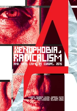 Валерий Энгель Xenophobia, radicalism and hate crime in Europe 2015 обложка книги
