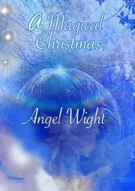 Angel Wight A Magic Christmas. Diary of wishes обложка книги