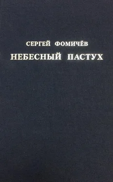 Сергей Фомичёв Небесный пастух (сборник) обложка книги