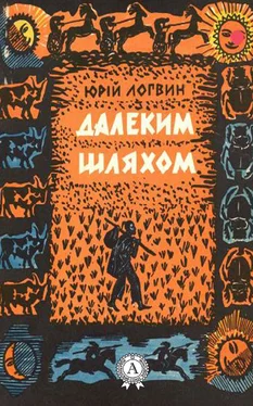 Юрій Логвин Далеким шляхом обложка книги