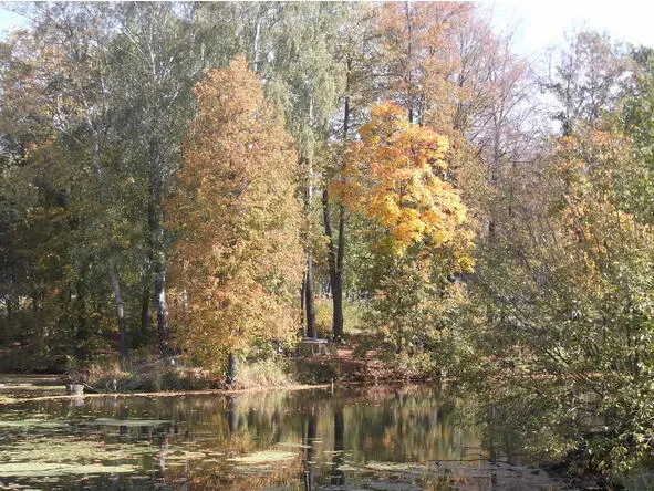 Осенняя прогулка Осенние кораблики Ноябрь месяц в переводе на украинский - фото 5