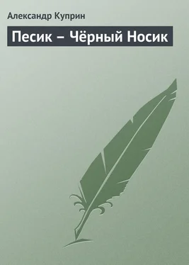 Александр Куприн Песик – Чёрный Носик обложка книги