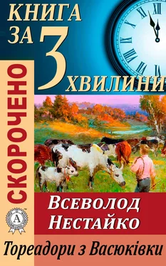 Тетяна Бебік Переказ твору Всеволода Нестайка «Тореадори з Васюківки» обложка книги