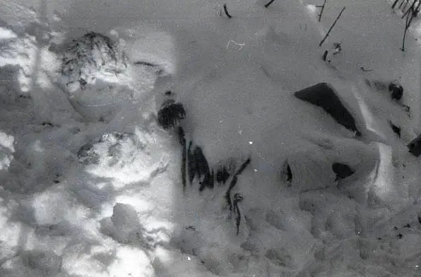 Doroshenko and Krivonishchenko covered with snow under the ceder Igor - фото 19