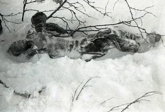 Igor Dyatlov died near a birch Dead Zina Dead Rustem Slobodin a dense - фото 21