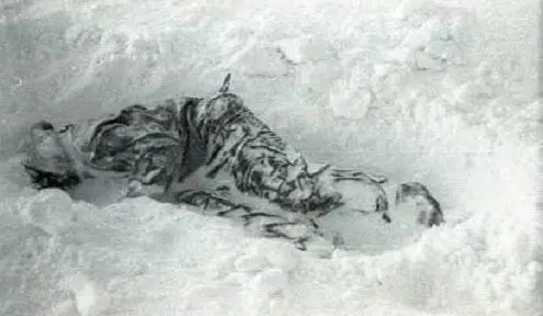 Dead Zina Dead Rustem Slobodin a dense structure of snowballs can be seen - фото 22