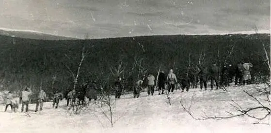 Snow sounding by the group of rescuers in the light forest zone The search - фото 34