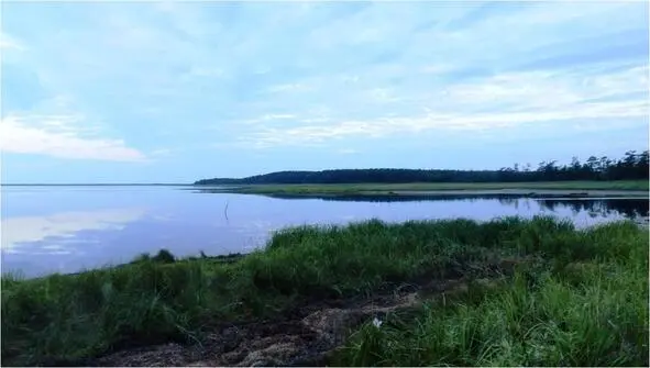 Тимоха хотел было по дороге пойти да потом за горой Маяк выйти на Сахалинский - фото 4