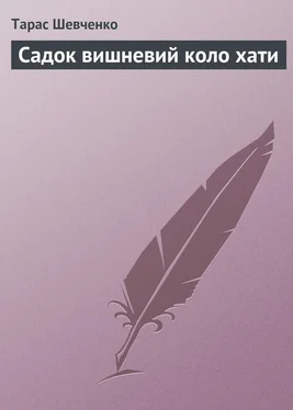 Тарас Шевченко Садок вишневий коло хати обложка книги