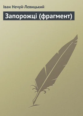 Іван Нечуй-Левицький Запорожці (фрагмент) обложка книги