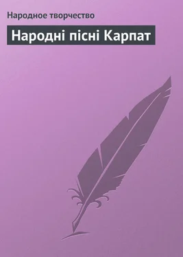 Array Народное творчество (Фольклор) Народні пісні Карпат обложка книги