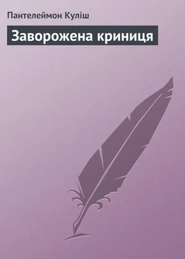 Пантелеймон Куліш Заворожена криниця обложка книги