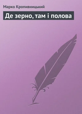 Марко Кропивницький Де зерно, там і полова обложка книги