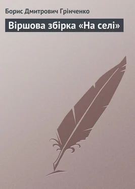 Борис Грінченко Віршова збірка «На селі» обложка книги