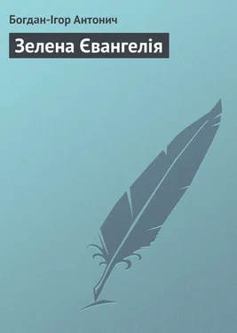 Богдан-Ігор Антонич Зелена Євангелія обложка книги