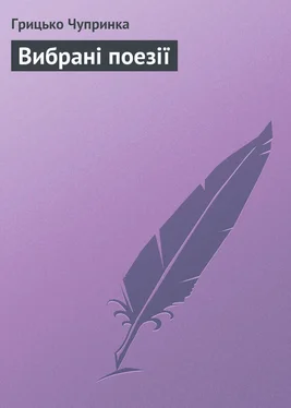 Грицько Чупринка Вибрані поезії обложка книги