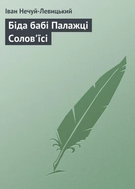 Іван Нечуй-Левицький Біда бабі Палажці Солов'їсі обложка книги