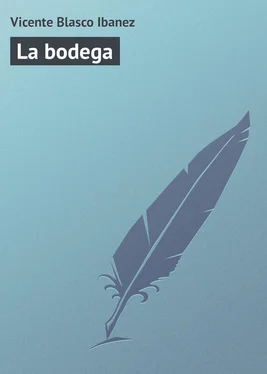 Vicente Blasco La bodega обложка книги