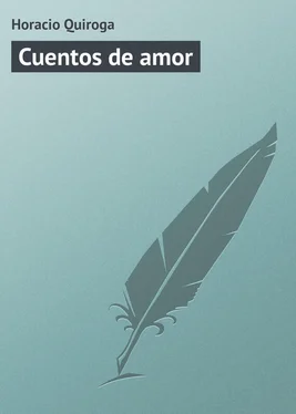 Horacio Quiroga Cuentos de amor обложка книги