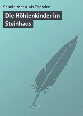 Sonnleitner Alois Die Höhlenkinder im Steinhaus обложка книги