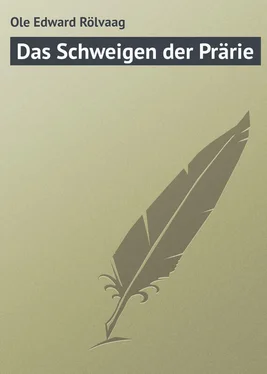 Ole Edward Das Schweigen der Prärie обложка книги