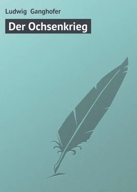 Ludwig Ganghofer Der Ochsenkrieg обложка книги