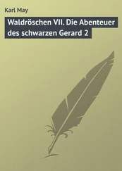 Karl May - Waldröschen VII. Die Abenteuer des schwarzen Gerard 2