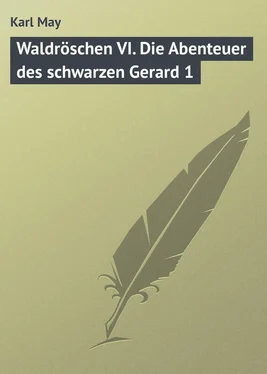 Karl May Waldröschen VI. Die Abenteuer des schwarzen Gerard 1 обложка книги