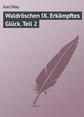 Karl May Waldröschen IX. Erkämpftes Glück. Teil 2 обложка книги