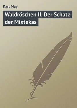 Karl May Waldröschen II. Der Schatz der Mixtekas обложка книги