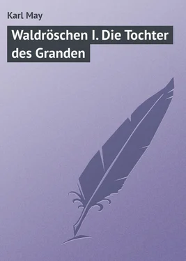 Karl May Waldröschen I. Die Tochter des Granden обложка книги