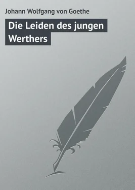 Johann Wolfgang Die Leiden des jungen Werthers обложка книги
