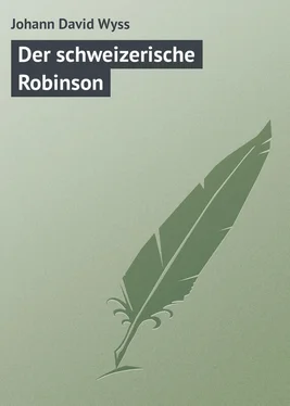 Johann David Der schweizerische Robinson обложка книги