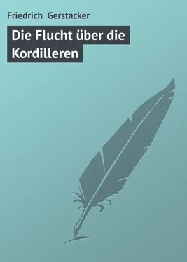 Friedrich Gerstacker Die Flucht über die Kordilleren обложка книги