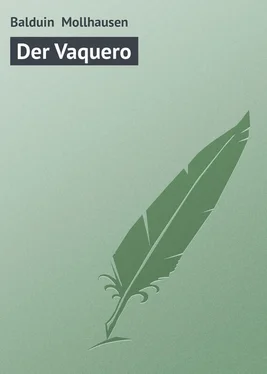Balduin Mollhausen Der Vaquero обложка книги