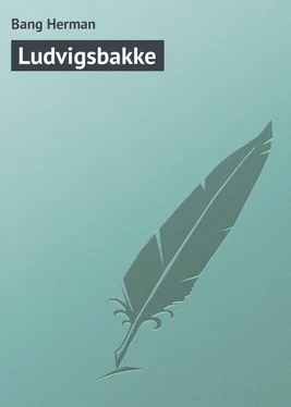 Bang Herman Ludvigsbakke обложка книги