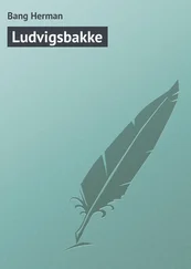 Bang Herman - Ludvigsbakke