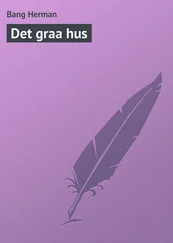 Bang Herman - Det graa hus