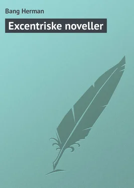 Bang Herman Excentriske noveller обложка книги
