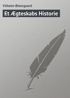 Vilhelm Østergaard Et Ægteskabs Historie обложка книги