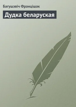 Багушэвіч Францішак Дудка беларуская обложка книги