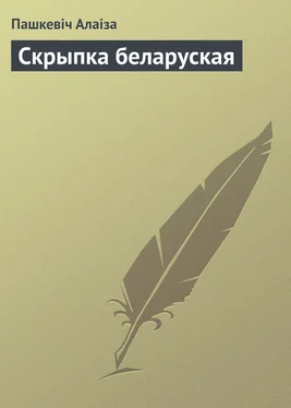 Пашкевіч Алаіза Скрыпка беларуская обложка книги