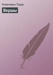 Кляшторны Тодар - Вершы