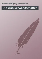 Johann Wolfgang - Die Wahlverwandschaften
