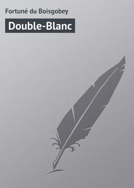 Fortuné du Double-Blanc обложка книги