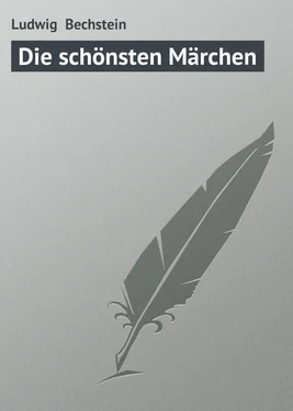 Ludwig Bechstein Die schönsten Märchen обложка книги