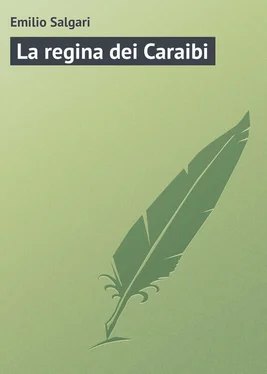 Emilio Salgari La regina dei Caraibi обложка книги