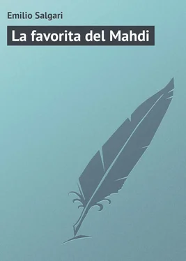 Emilio Salgari La favorita del Mahdi обложка книги