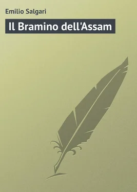 Emilio Salgari Il Bramino dell'Assam обложка книги