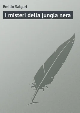 Emilio Salgari I misteri della jungla nera обложка книги